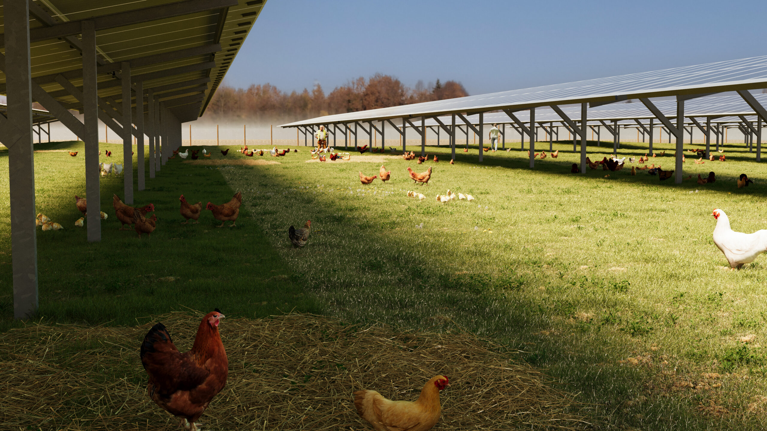 Le projet de La Maison Rouge intégré à son environnement